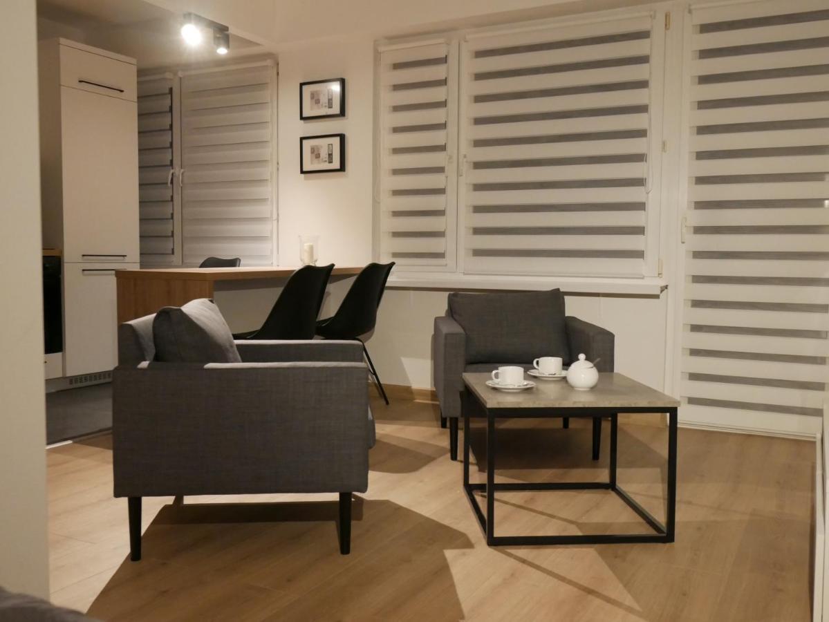 New Flat For Rent Air Conditioning In The Apartament Nowe Mieszkanie - Centrum Klimatyzacja W Mieszkaniu Apartament