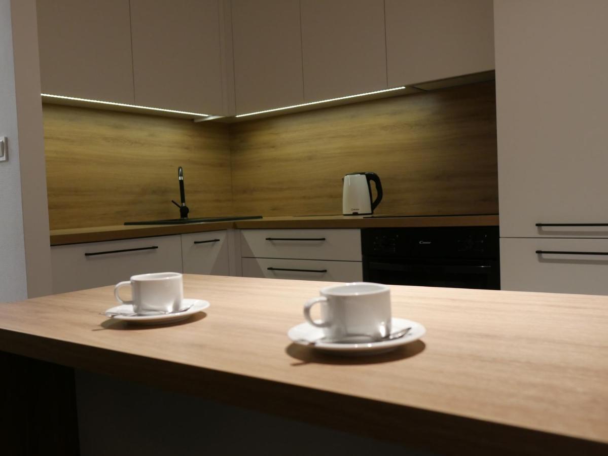 New Flat For Rent Air Conditioning In The Apartament Nowe Mieszkanie - Centrum Klimatyzacja W Mieszkaniu Oświęcim