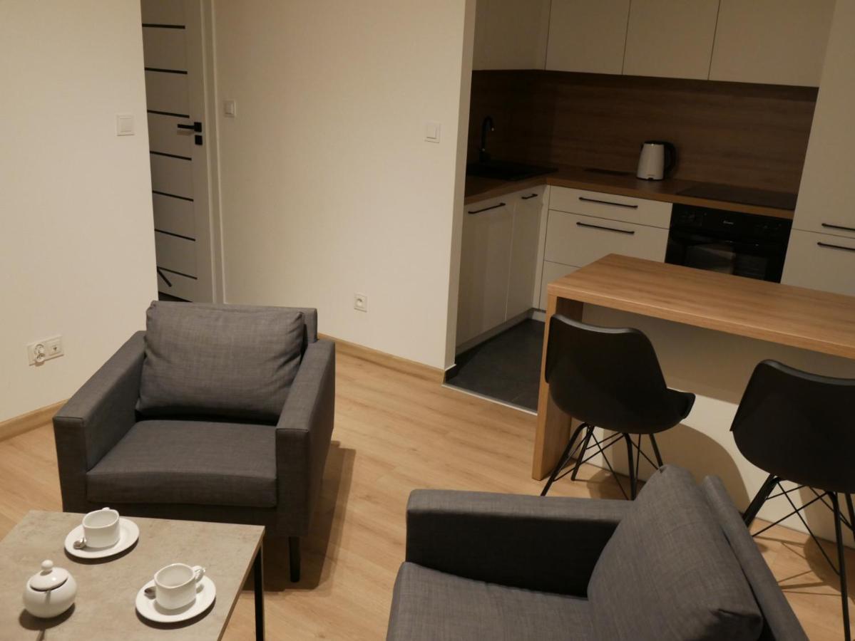 New Flat For Rent Air Conditioning In The Apartament Nowe Mieszkanie - Centrum Klimatyzacja W Mieszkaniu Apartament