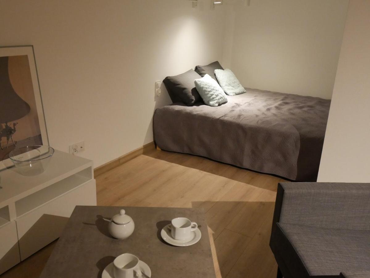 New Flat For Rent Air Conditioning In The Apartament Nowe Mieszkanie - Centrum Klimatyzacja W Mieszkaniu